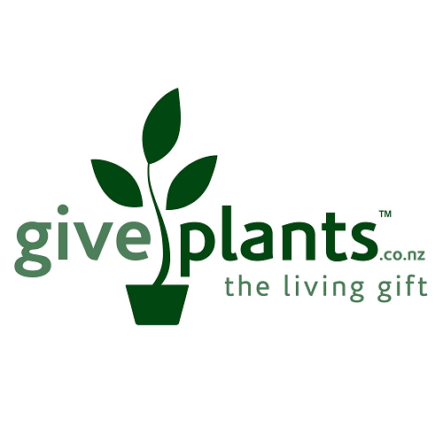 Give Plants